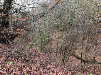 Trail On foot Blankenheim - EifelSchleife Durchs Auelbachtal - Photo