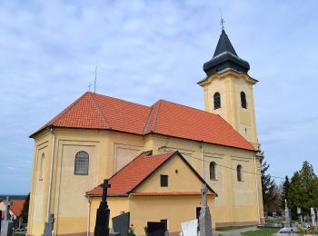 Randonnée A pied okres Senica - Náučný chodník Lakšárska Nová Ves – Tomky - Photo