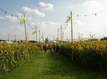 Tour Zu Fuß Halle (Westf.) - Haller Rundweg A12 - Photo