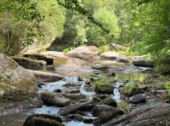 Trail Walking Plaintel - Les chaos du gouet - Photo