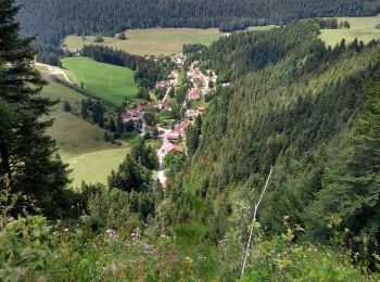 Randonnée Marche Villers-le-Lac - Étape 7 : Villers-le-Lac à Vieux Chateleu - Photo
