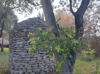 Randonnée Marche Chantemerle-lès-Grignan - Chantemerle-lès-Grignan les Homais 11km - Photo