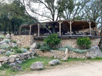 Percorso Marcia Zonza - Les trois fontaines  - Photo