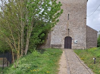 Tocht Stappen Bertem - Bertem 17.4km - Photo