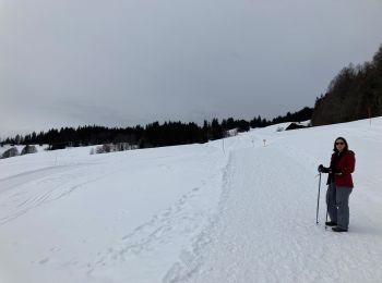 Randonnée Raquettes à neige Le Grand-Bornand - 25 - le vieux village de Chinaillon - Photo