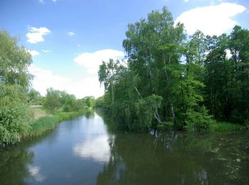 Tocht Te voet Lübbenau/Spreewald - Wanderweg Lübben-Lübbenau - Photo