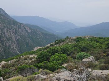 Trail Walking Marignana - marignana - Photo