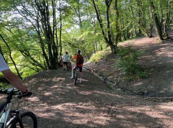 Trail Mountain bike Herve - 20210616 Yeyette en Wez  - Photo