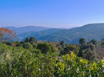 Trail Walking Collobrières - les sources de la Giscle - Photo