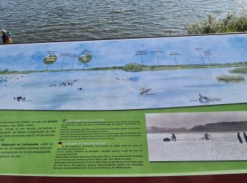 Randonnée Marche Lachaussée - Lachaussée - étangs et prairies  - Photo