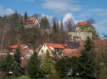 Excursión A pie Betzenstein - Rundweg um Betzenstein - Photo