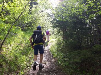 Tour Wandern Engins - Charande en circuit par la pas de la Lose et le passage de la Grande Combe  - Photo