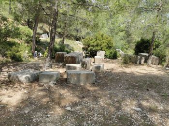 Excursión Senderismo Beaurecueil - Sainte Victoire : Barrages de Bimont et Zola - Photo