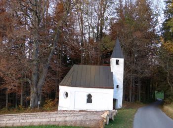 Excursión A pie Fischbachau - Hofkapellenwanderung - Photo