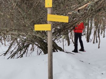 Excursión Raquetas de nieve Les Déserts - la Féclaz - Croix du Nivolet - Photo