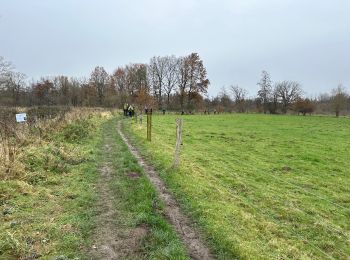 Tour Wandern Huldenberg - Neerijse 22,5 km - Photo