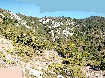 Randonnée A pied Δημοτική Ενότητα Αχαρνών - Θρακομακεδόνες - Καταφύγιο Φλαμπούρι - Photo