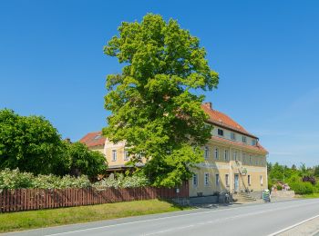 Tocht Te voet Herrnhut - OL-Grüner Gegenschrägstrich - Zinzendorf-Lehrpfad - Photo