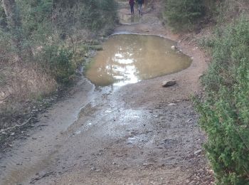 Tocht Stappen Tanneron - z chemin charretier 11-02-21 - Photo