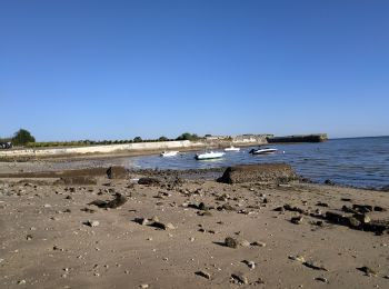 Excursión Senderismo La Flotte - 2024-09-19 île de ré) abbaye et fort de la pré - Photo