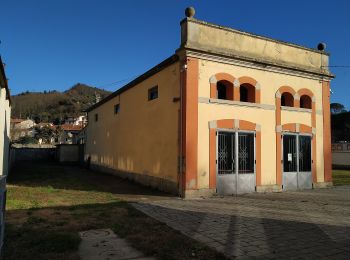 Excursión A pie Dicomano - Sorgenti di Firenze Trekking – Anello 4: Architetture rurali e campagna toscana - Photo