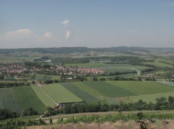 Tocht Te voet Obersulm - Obersulmer Rundwanderweg 1 - Photo