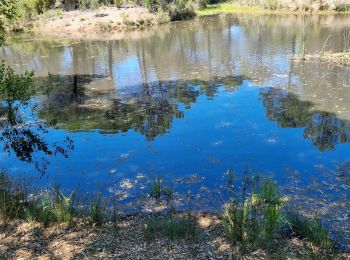 Trail Walking Puget-sur-Argens - z la Lieutenante 7 21-05-24 - Photo