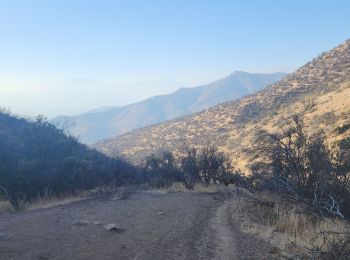 Excursión Senderismo Las Condes - Morro las papas - Photo