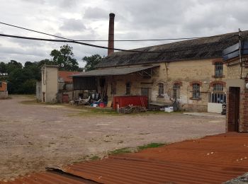 Tour Mountainbike Vienne-en-Bessin - Sainte croix, coulombs, Saint Gabriel  - Photo