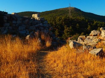 Randonnée A pied Phylé - Κάστρο Φυλής - Ρέμα Θοδώρας - Φυλή - Photo