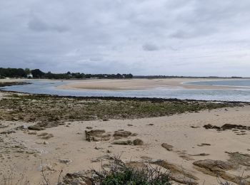 Excursión Senderismo Bénodet - Tour de Benodet - Photo