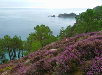 Trail Walking Crozon - Pointe de Morgat - Cap de la Chèvre Boucle GR34 - 19.7km 500m 6h00 - 2019 09 13 - Photo