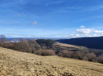 Tocht Stappen Albepierre-Bredons - Auzolles La Molede  - Photo