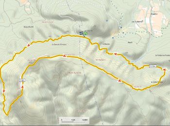 Tocht Stappen Pourcieux - Mt Aurélien 450m+ - Photo