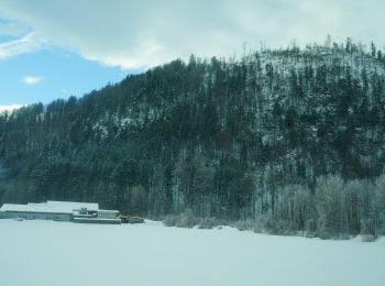 Randonnée A pied St. Wolfgang im Salzkammergut - Bürglsteig - Photo