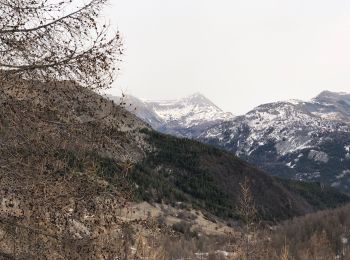 Tocht Sneeuwschoenen Saint-Martin-d'Entraunes - Col des Champs  - Photo