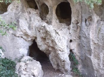 Tocht Stappen La Roquebrussanne - Source des Orris rochers menhirs (83) - Photo