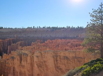 Randonnée Marche  - 2024 Bryce Canyon Rim Trail - Photo