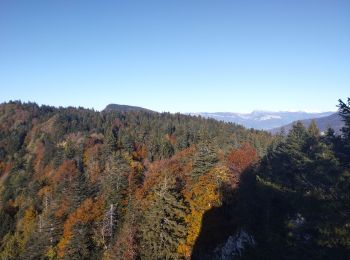 Excursión Ruta La Bauche - Mont Beauvoir  - Photo