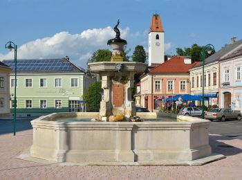 Randonnée A pied Gemeinde Aspang - Aspang-Markt - Samberg - Ausschlag - Photo