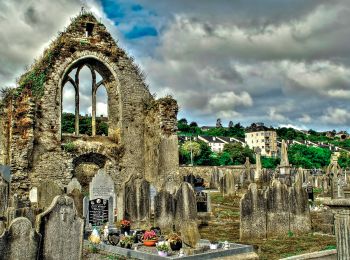 Randonnée A pied The Municipal District of East Cork - Youghal Foxhole Loop walk - Photo