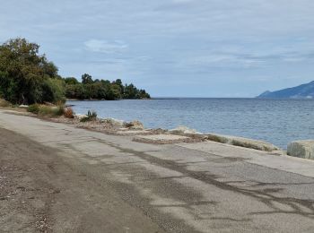 Trail Walking Saint-Florent - sentier du litoral - Photo