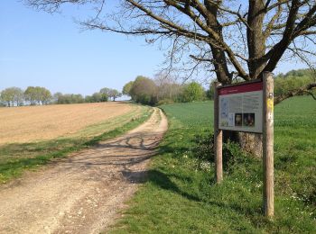 Tocht Te voet Immenhausen - Eco Pfad Ahlberg-Mariendorf - Photo