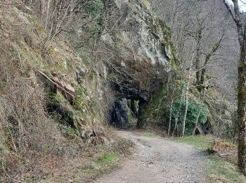 Excursión Senderismo Metzeral - Wormsa Kastelbergwasen - Photo