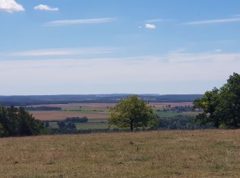 Excursión Carrera Euffigneix - euffigneix, autreville par la pierre qui tourne - Photo