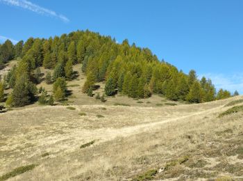 Tour Wandern Ceillac - crête du Riou vert  - Photo