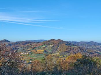 Trail On foot Borgoratto Mormorolo - Anello di Borgoratto - Photo