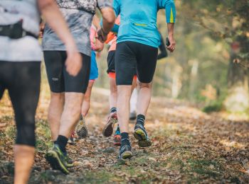 Percorso Sentiero Florenville - Trail Gourmand - Photo