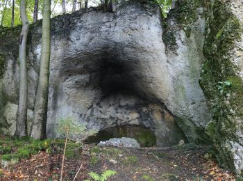 Percorso A piedi Pommelsbrunn - Rundweg Claramühle-Ameisenberg - Photo