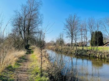 Tour Wandern Hasselt - Le parc du Prinsenhof à Kuringen - Photo